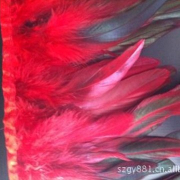 厂家供应泳毛布带颜色不限羽毛织带服装配饰鸡毛花边高温加固