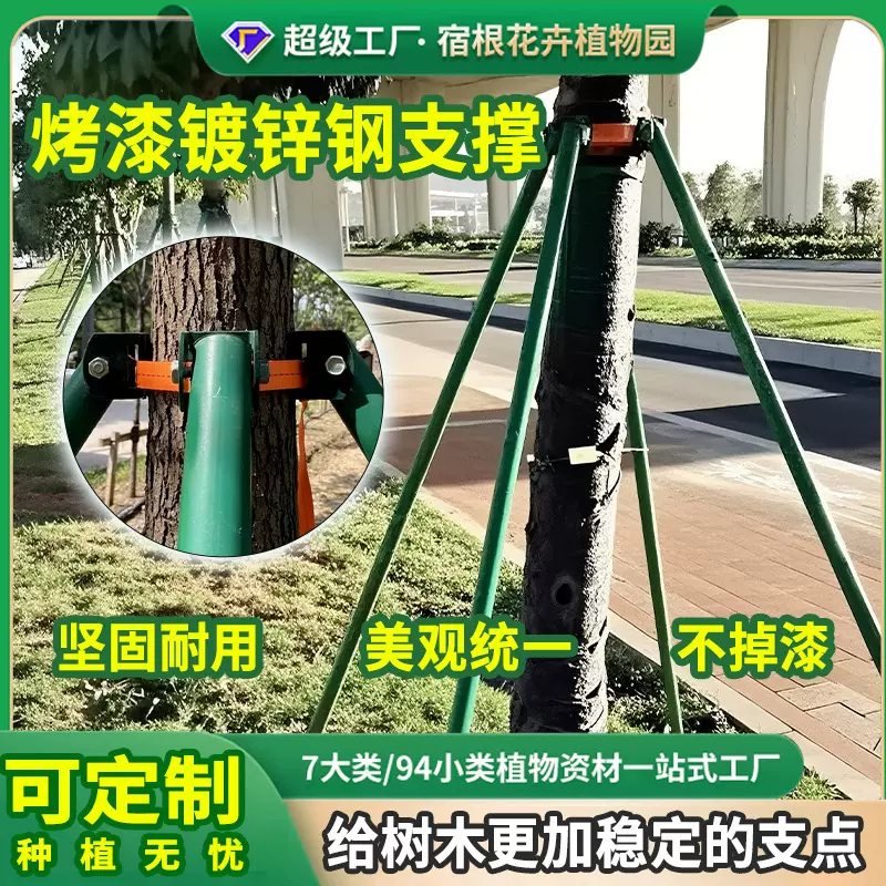 树木支撑架钢管固定器大树支撑杆规格多防风金属树支撑支架套园艺