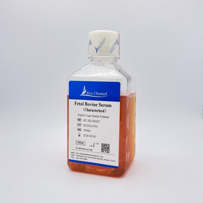 优级胎牛血清 Fetal Bovine Serum（Characterized）