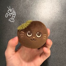 ������Ԫ�� ������wonbin riize �ɐۈF�F�޻����޶Y����