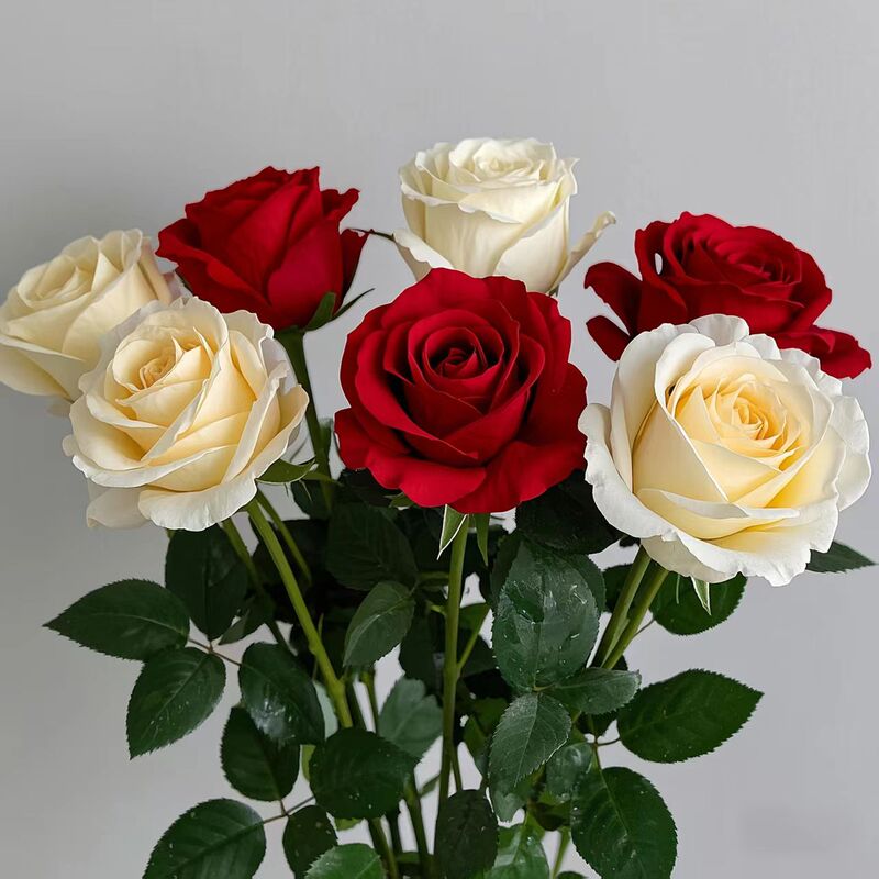 Cross-Border Popular Amazon Artificial Rose Photography Props Indoor Decoration Artificial Rose Artificial Flower