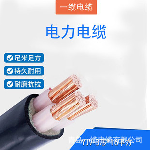 ����ϩ���^�������| YJV-0.6/1kV-3о*16ƽ�� ��ɫ��1�ף�