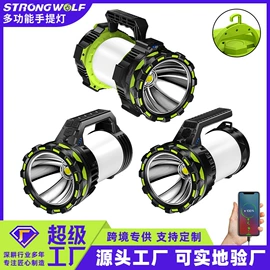 太阳能灯;景观灯;庭院灯