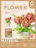 Peony Potted Plant-279PCS [Color Box Installation]