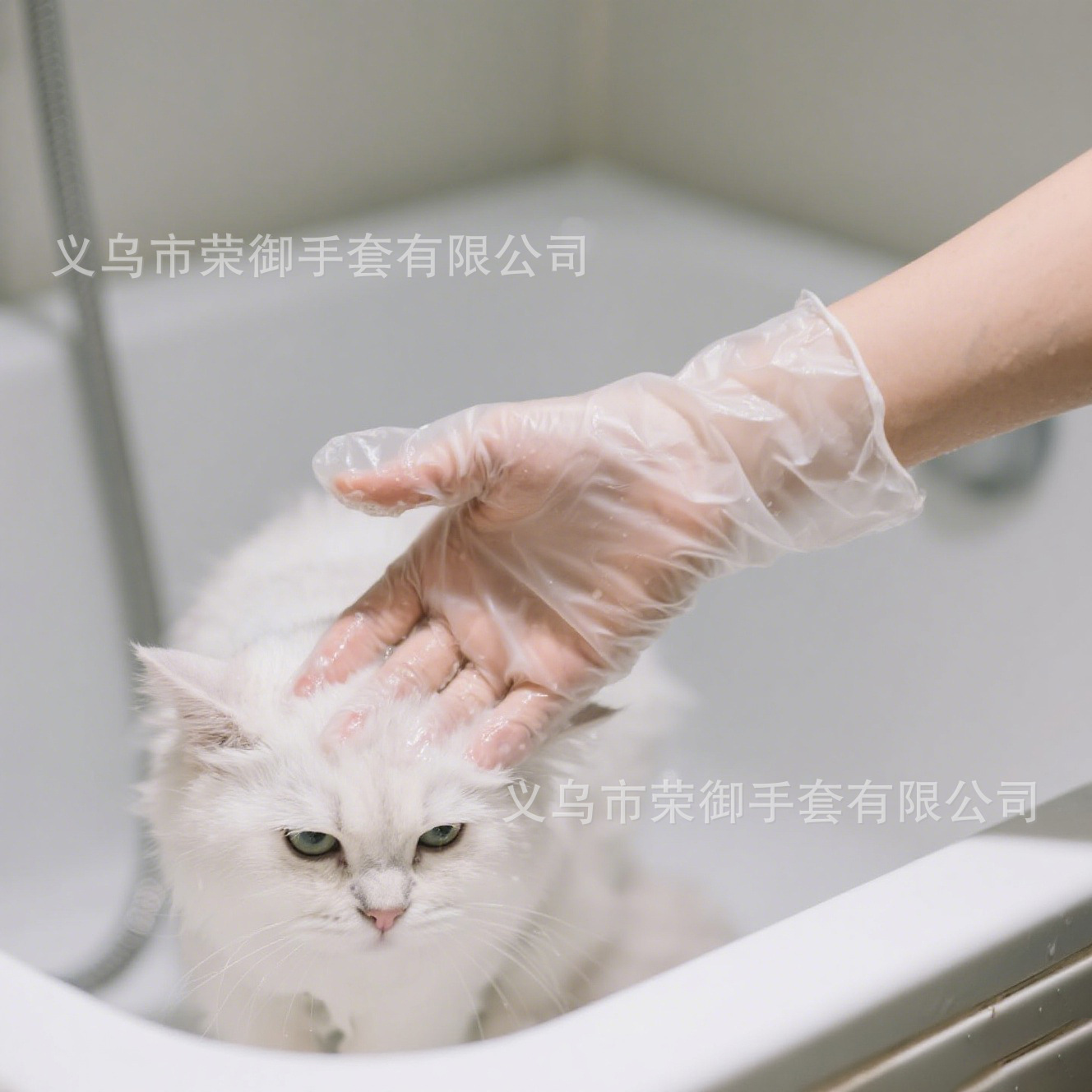 9寸一次性PVC手套透明无粉宠物洗澡纹身美容手部防护乙烯基手套