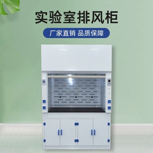 Laboratory Fume Hood Pp Fume Hood Exhaust Hood School Operating Table Table Pipeless Clean Air Fume Hood