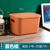 Storage box, clothing, big plastic storage system