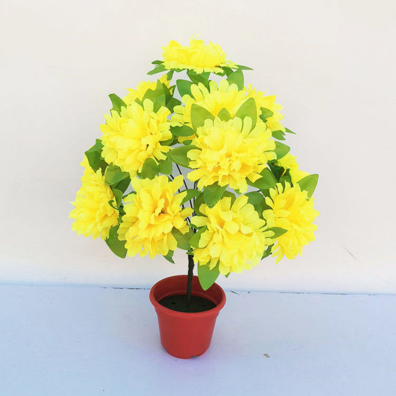 12 chrysanthemums with leaves (yellow) 1 branch - 1 branch + flowerpot quality choice
