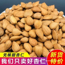 杏仁坚果 河北杏仁 承德熟杏仁500g野生原味甜杏仁南杏仁50g 零食
