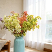 �����֦�����m��������Ҿ��bGֲ��������ĔzӰ���߻�c����