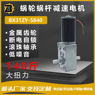 Ll5840-31Zy Reduction Motor Dc Gear Motor Power-Off Self-Locking Worm Gear 12V24 Motor Speed Regulating Electric