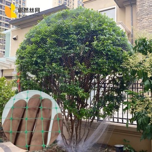 �Gɫ���B�W�r�I���i���@PE�߲˵����~���Bֳ�p������W��