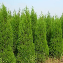 �ؘ���� ���� ����ɰ؂Ȱؘ���A���ɘ䌚����������G���ļ���