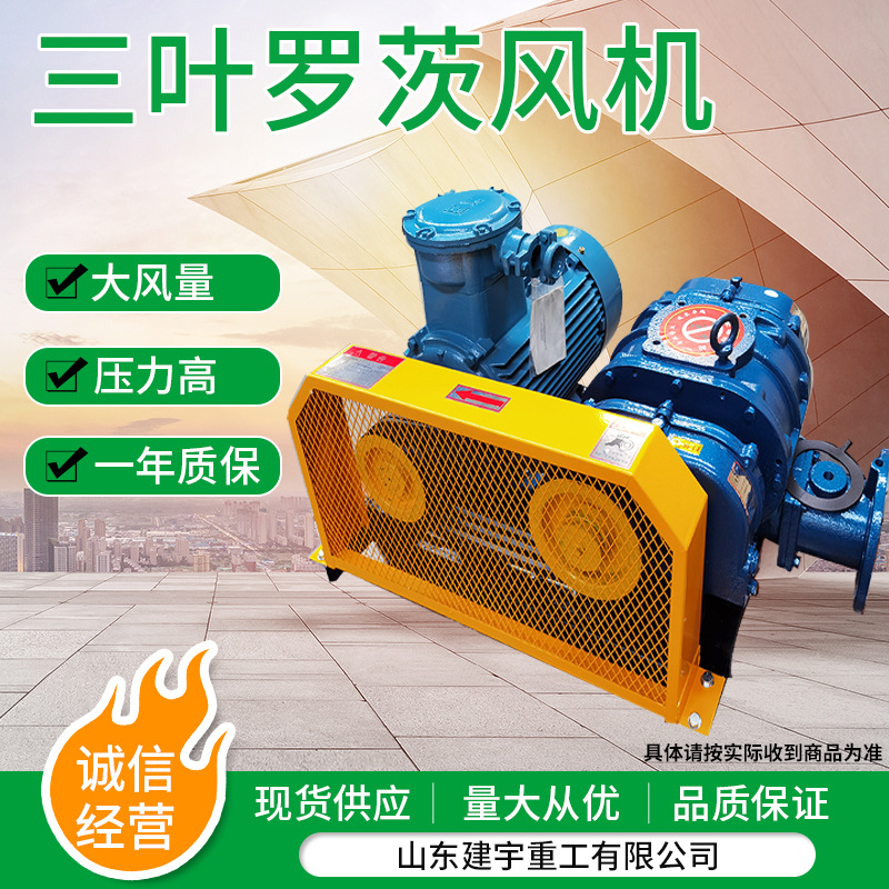 罗茨风机选变频防爆型罗茨鼓风机机头压力高低噪音大风量罗茨风机