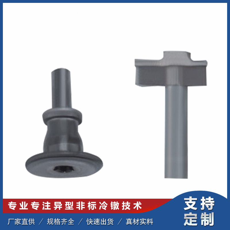 厂家专业生产冷墩加工 汽摩配件大头螺栓批发