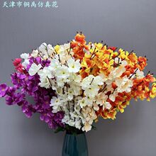 ����7��9���һ���������÷���ӼҾƵ��c��Y���b��쾰���߽���