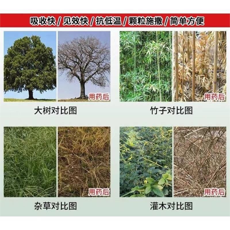 滅樹粉除樹死樹剤爛根粉滅根粉枯樹粉専用剤強力滅竹雑草顆粒型|undefined