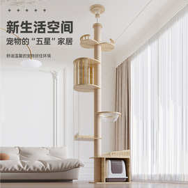 通天柱猫爬猫窝猫树一体猫咪玩具猫抓板大型猫实木猫跳台