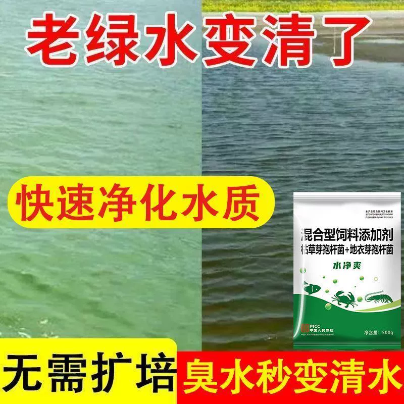 Очищающая вода для рыбных прудов аквакультуры, Bacillus subtilis, подавляет образование зелёной воды и разложение остатков корма