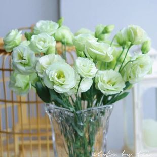 ��۹��r�����r�������҃�ˮ���r�л��r��ֱ�l�S��ֱ�N���]