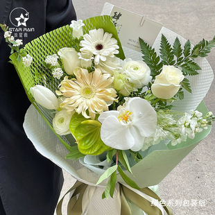 ӭ������Gɫϵ���r�����b�������������W�ż��L�A����C����ӭ�I