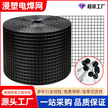 黑丝电焊网防鸟网果园防护围栏网户外养殖隔离浸塑电焊网铁丝网