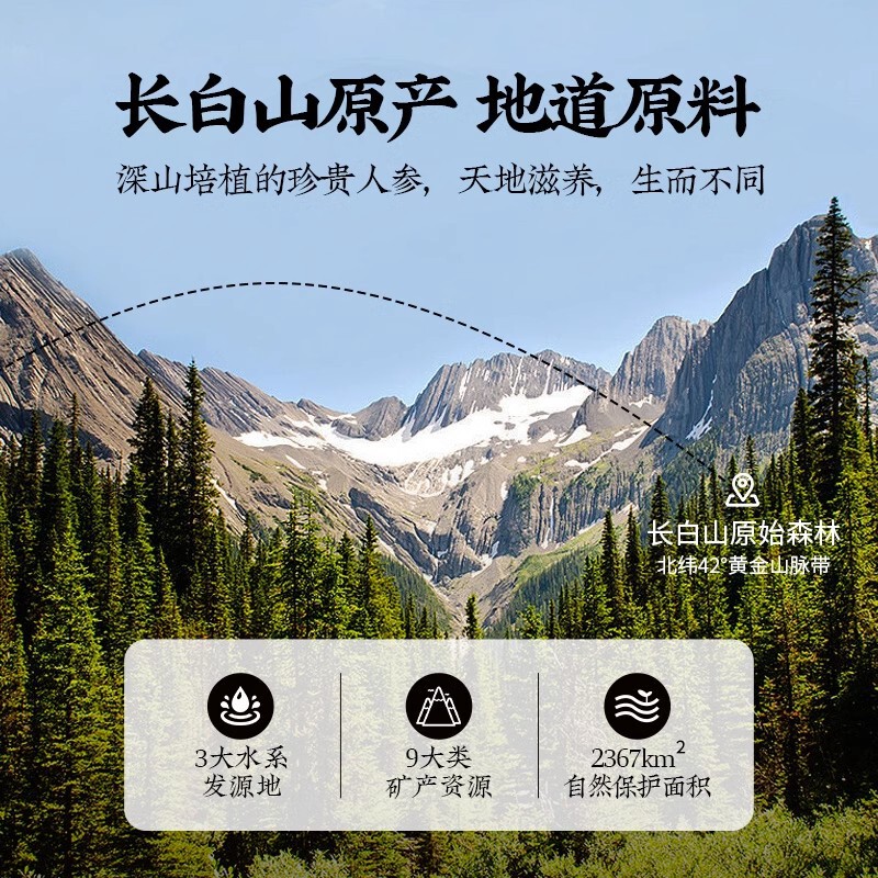 北京同仁堂西洋参片62g水泡茶花旗参片西洋参片参類片卸売り|undefined