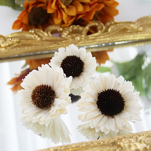 ���޾����տ�̫ꖻ��Ҿ��b��^ͨ�ݻ��o���ٗl��޹DIY�Ҿ����