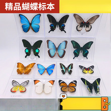 ������˱����xչ��W���ώ����˹��׃��@���նY��diy����