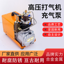 电动高压打气机30mpa 高压充气泵4500psi 220V/110V单缸水冷循环