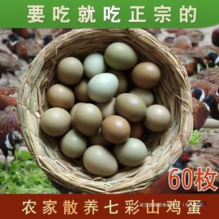 �߲�ɽ�u��60ö���r �����oʳ �r���s�Z��Ȼɢ�B���u��Ұ�u��