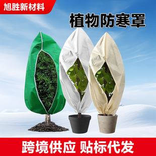 �羳���uֲ������� ֲ���ľ�o�������o�����o�׶������������