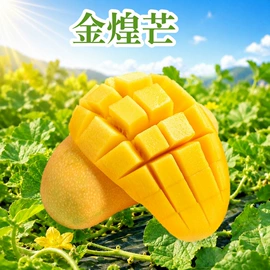桃子;梨;苹果