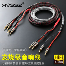 AVSSZ�l�����㽶�^��푾�HiFi�o���~��о�������Ⱦ��������֫F4mm