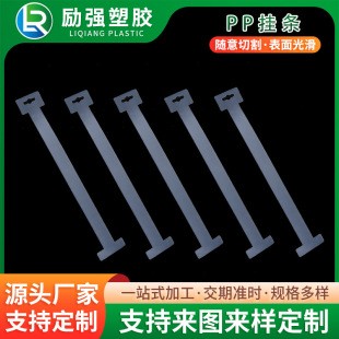 Pp Hanging Strips Advertising Hanging Strips Custom Manufacturer Transparent Plastic Strips Supermarket Hanging Strips Supermarket Shelves Injection Molding