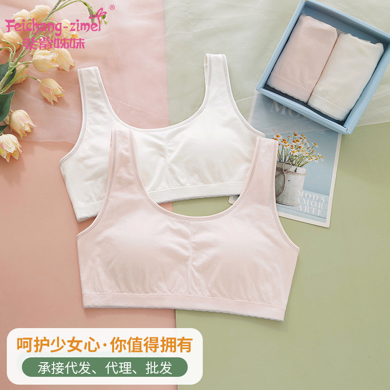 Two-stage Development Seamless Underwear Girls' Junior High School Students Shockproof Running Sports Small Vest No Steel Ring Bra Two-stage Development Seamless Underwear Girls' Junior High School Students Shockproof Running Sports Small Vest No Steel Ring Bra