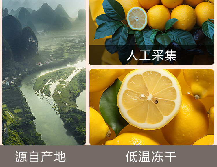 Freeze-Dried Lemon Slices (Citrus limon) — Cold-Brew Fruit Tea, 50g Jar in use