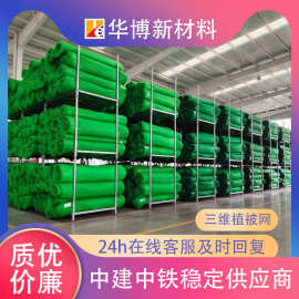 定制三维植被网河道固土护坡绿化防护垫高分子护坡网三维植被网