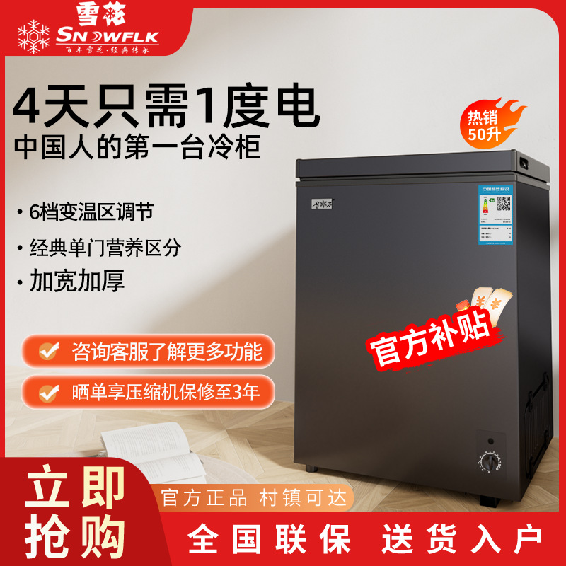 雪花冷柜单温卧式小冷柜小型厨房家用冷冻节能省电宿舍租房爆款