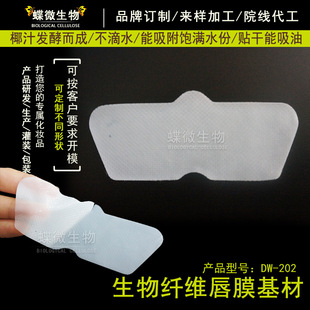 �ᱬ�����w�S��Ĥ�N�����д�Ǽ��_�ڻ��ı����N���������^�坍�N