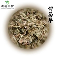 伸筋草500g 中药材批发 实物拍摄 新货上市 伸筋草中药材