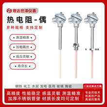 PT100温度传感器铂热电阻WZP不锈钢热电阻WRN耐高温热电偶K型温度