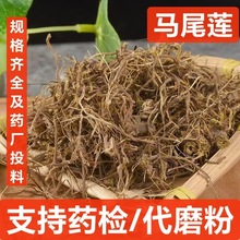 RβB ș RβSB Rβɏ SBzRβɏ ɲ ֧ș