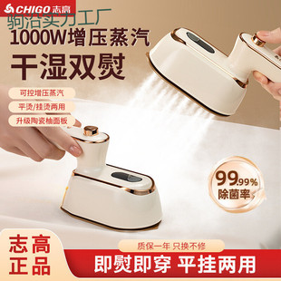 Tt Zhigao Handheld Steam Garment Steamer Ironing Machine for Home Use, Small Electric Iron for Ironing Clothes, Portable Iron