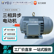 超高效率三相异步电动机电压多重选择110V-660V