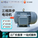 三相异步电动机380V全铜电机厂家定制2极4极6极8极高效率电动机