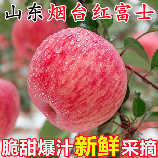 ����ɽ�|��̨�t��ʿ�O��10�ﮔ�����rˮ��ƽ�������Ĵ����O������