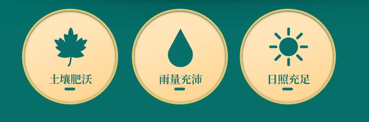 Whole Reishi Mushroom Dried Red Lingzhi Log-Grown 500g Bag for Soup and Decoction overview