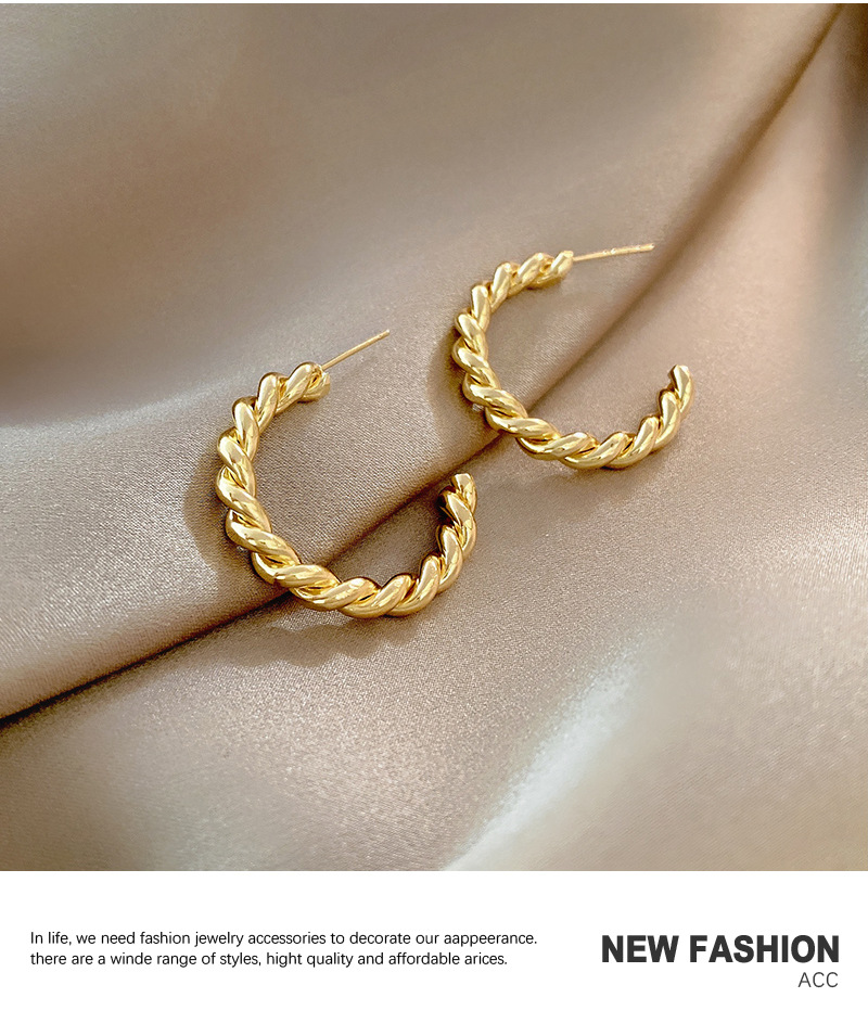 Internet-promi Ins Stil Mode Einfache Ohrringe Weibliche Persönlichkeit Design Metall Twist Ohrringe Kalten Wind All-match Ohrringe display picture 9