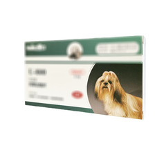American Buddy D800 tablet drive removes parasitic Toxoplasma gondii and coccidiosis in cats and dogs, with 8 pills of insecticide